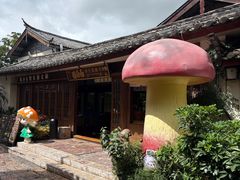 -菌自由丨野生菌火锅特色庭院餐厅(丽江古城店)
