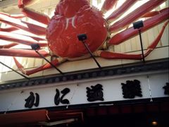 -蟹道乐(道顿堀本店)