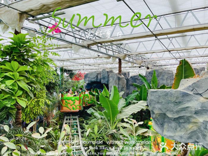 南宫五洲植物乐园图片