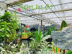 -南宫五洲植物乐园