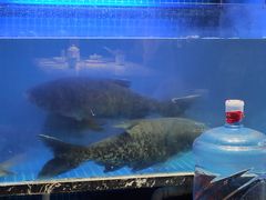 -姜君·千岛湖鱼头馆(浦东大道店)