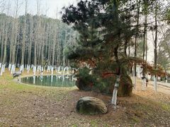 -艾溪湖湿地公园
