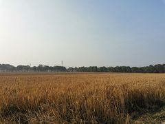 -嘉北郊野公园