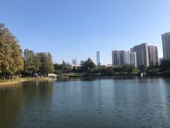 -四海公园(南山区)