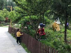 -合肥滨湖国家森林公园