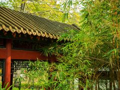 -顺峰山公园