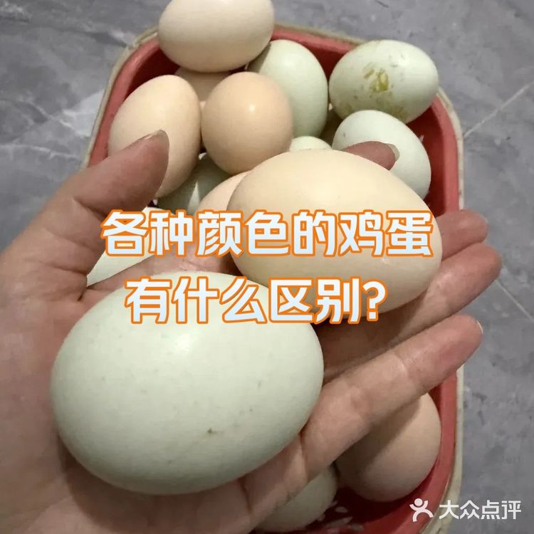 各种颜色的鸡蛋有什么区别？