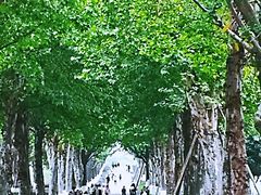 -重庆中央公园(渝北区)