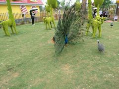 -云漫湖生态度假公园