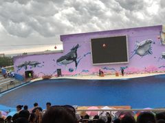 -北戴河圣蓝海洋公园
