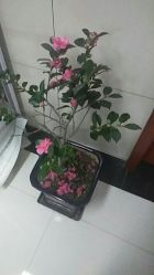 -悦·臻时美发沙龙