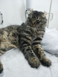 -初NAIL日式美甲美睫沙龙