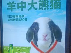 -丰茂烤串(公园店)