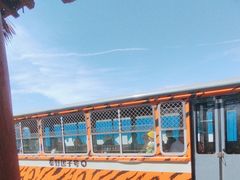-秦皇岛野生动物园