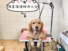 -Double Rui宠物酒店
