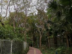 -超级猩猩健身·团课(高新园大冲商务中心二店)