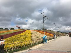 -东部华侨城
