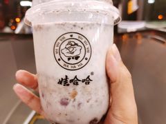 -娃哈哈·奶茶(武林店)