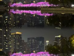 -西北湖绿化广场