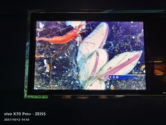 -同济大学四平路校区深海探索馆