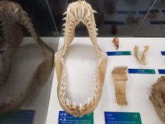 -生命奥秘博物馆