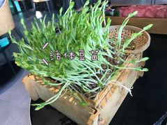 -凤园椰珍·臻品椰子鸡(保利时光里店)
