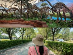 -嘉荫恐龙国家地质公园