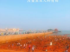 -栈桥景区