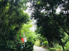 -广州市帽峰山景区