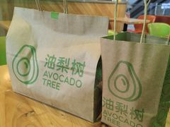 -油梨树AVOCADO TREE(望京店)