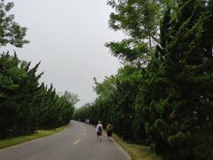 -日照海滨国家森林公园
