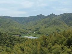 -宁波浙东大竹海景区