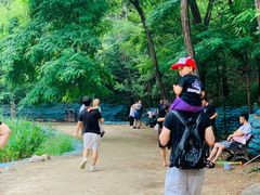 -白水寺森林公园