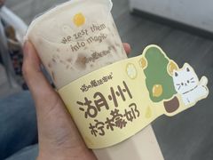 -猫的魔法密林(衣裳街店)