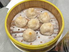 -小杨生煎(白玉兰广场店)