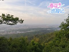-紫金山山顶公园