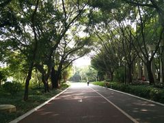 -南宁南湖公园