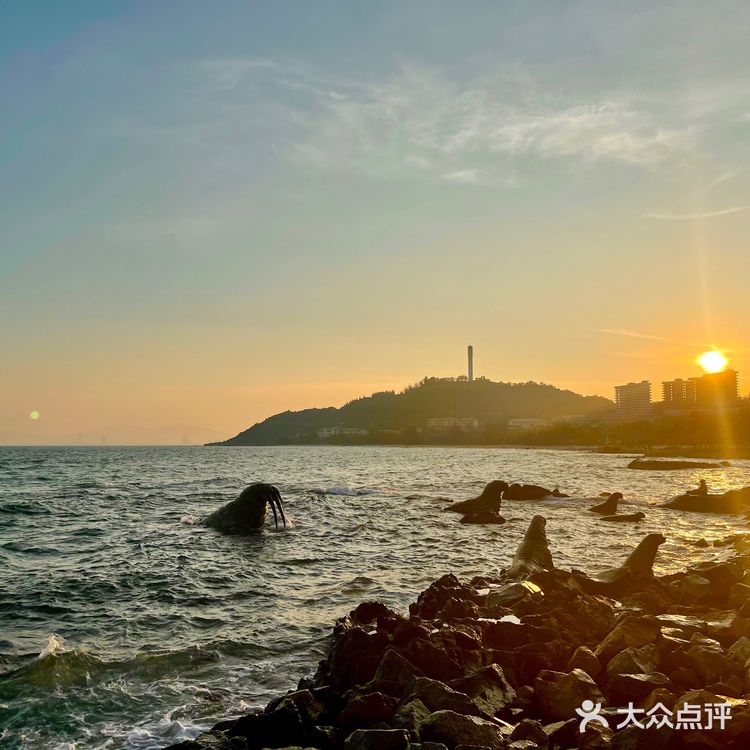 落日和晚风都美🌅 | 三亚免费神仙拍照地❗