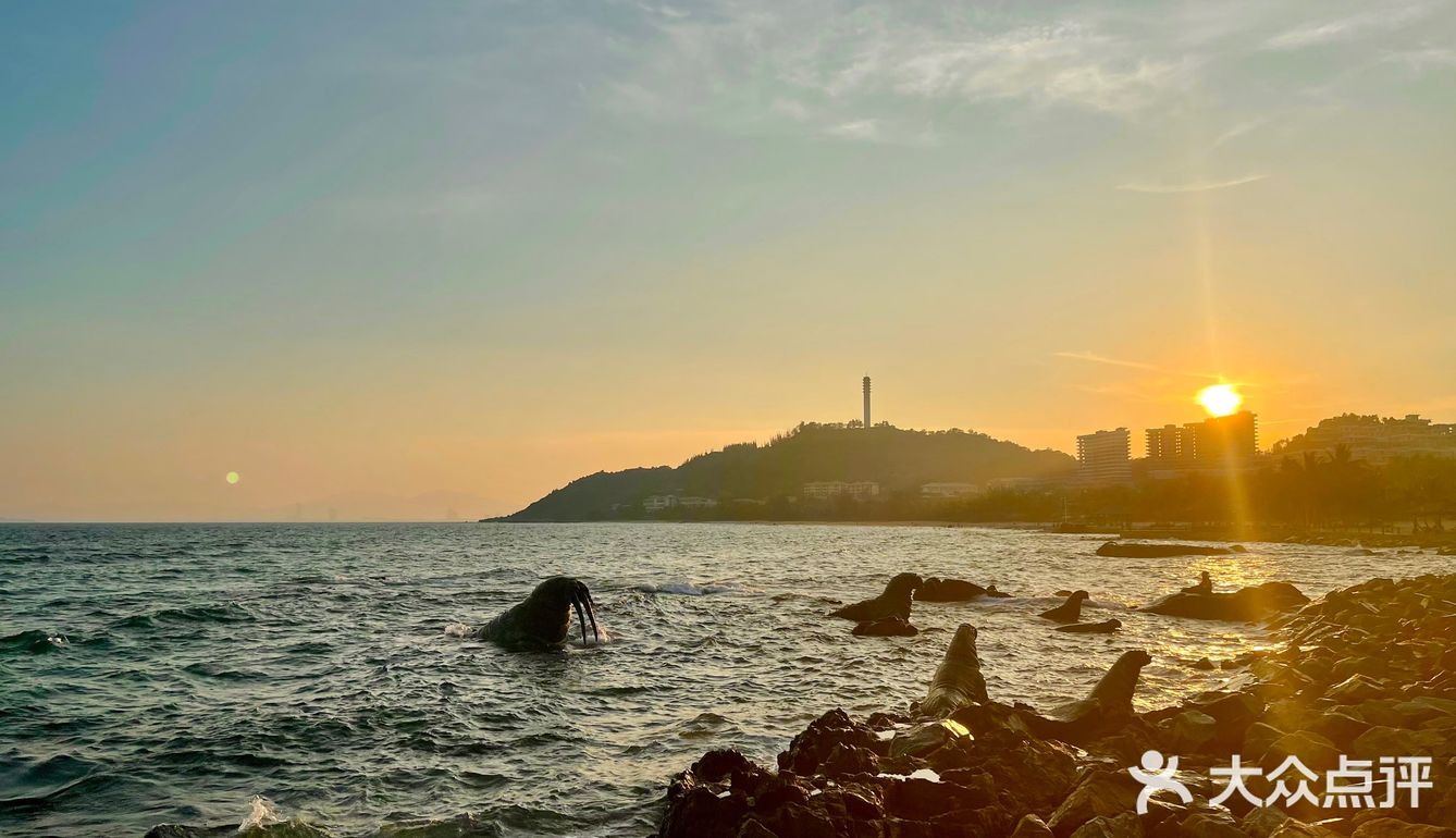 落日和晚风都美🌅 | 三亚免费神仙拍照地❗