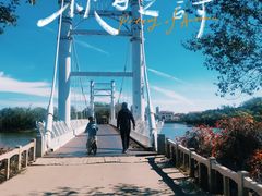 -塘沽森林公园