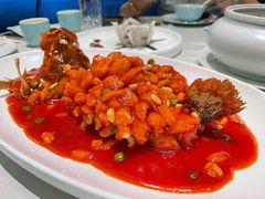 松子桂鱼-蝶园·装修中(BFC外滩金融中心店)