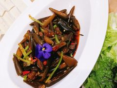 -清真军邺·金富苑肥牛(石坡街旗舰店)