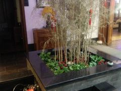 -碧露轩·大益茶体验馆(镇江路店)