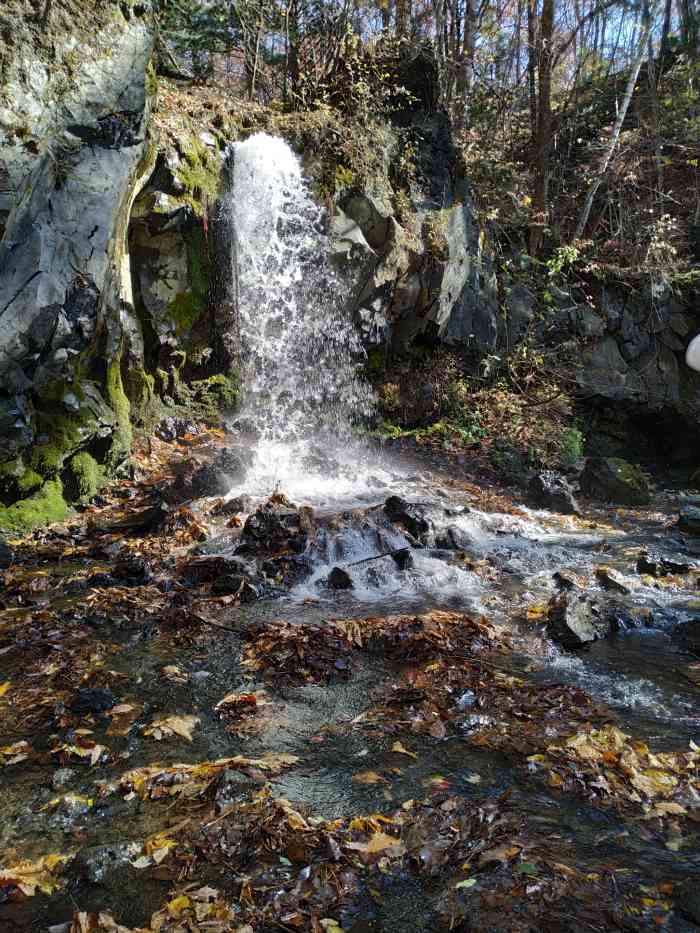 吉林龍灣群國家森林公園