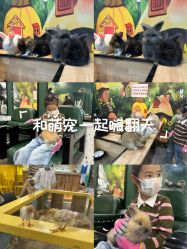 -神奇动物撸宠馆·羊驼·小浣熊·异宠(豫园店)