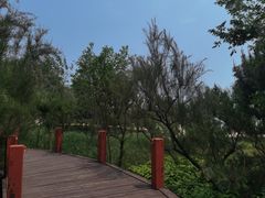 -海滨浴场