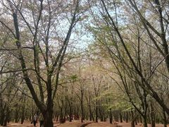 -贵阳市花溪国家城市湿地公园