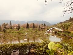 -田野绿世界