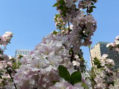 -元大都城垣遗址公园