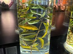 -广东中医药博物馆